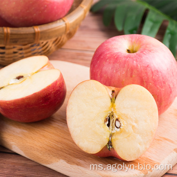 Buah Apple Merah Cina untuk dijual